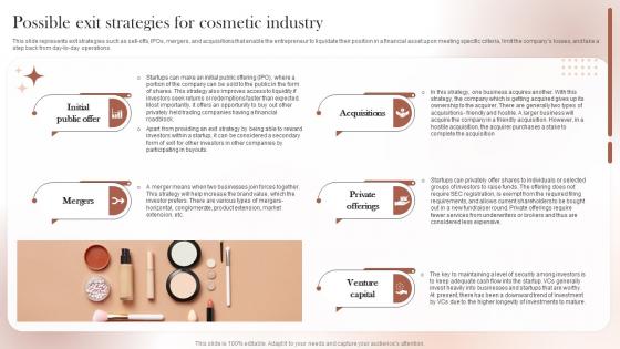 Sustainable Cosmetic Business Plan Possible Exit Strategies For Cosmetic Industry BP SS