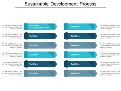 Sustainable development process ppt powerpoint presentation icon example introduction cpb