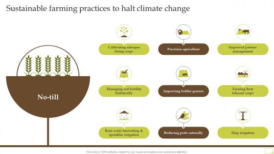 Sustainable Farming Practices To Halt Climate Change Complete Guide Of Sustainable Agriculture Practices