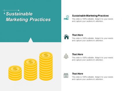 Sustainable marketing practices ppt powerpoint presentation professional themes cpb