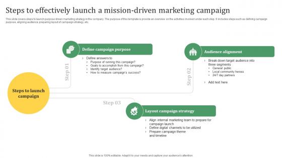 Sustainable Marketing Solutions Steps To Effectively Launch A Mission Driven MKT SS V