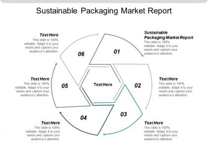 Sustainable packaging market report ppt powerpoint presentation gallery example introduction cpb