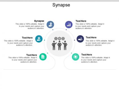 Synapse ppt powerpoint presentation gallery shapes cpb
