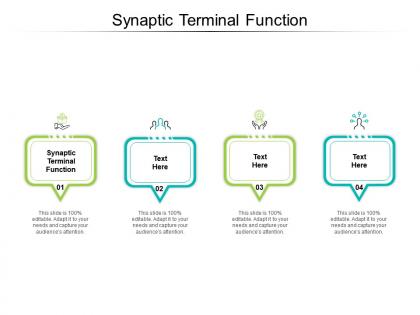 Synaptic terminal function ppt powerpoint presentation icon design inspiration cpb