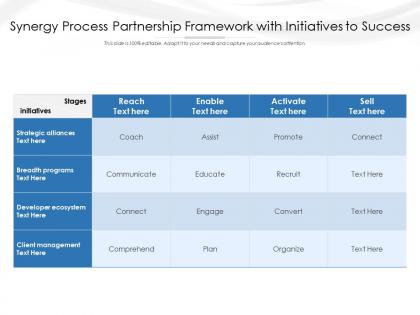 Synergy process partnership framework with initiatives to success