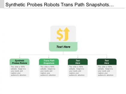 Synthetic probes robots trans path snapshots user defined transactions