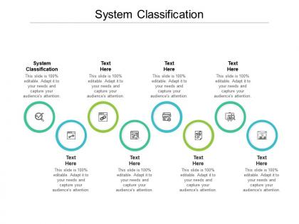 System classification ppt powerpoint presentation portfolio graphics design cpb