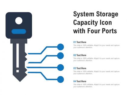 System storage capacity icon with four ports