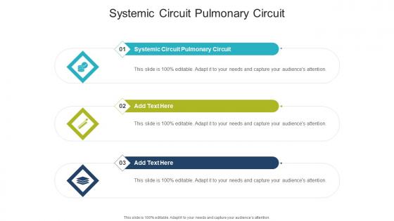 Systemic Circuit Pulmonary Circuit In Powerpoint And Google Slides Cpb