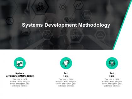 Systems development methodology ppt powerpoint presentation inspiration master cpb
