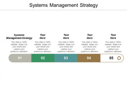 Systems management strategy ppt powerpoint presentation infographics slide cpb