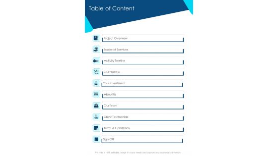 Table Of Content Copywriting Proposal Template One Pager Sample Example Document