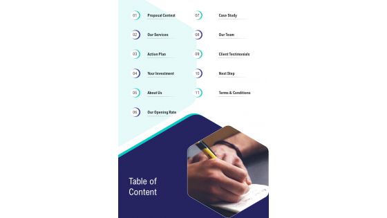 Table Of Content E Mail Marketing Proposal One Pager Sample Example Document