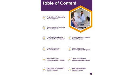 Table Of Content Feasibility Report Template One Pager Sample Example Document