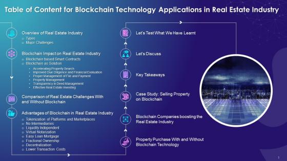 Table Of Content For Blockchain Technology Applications In The Real Estate Industry Training Ppt