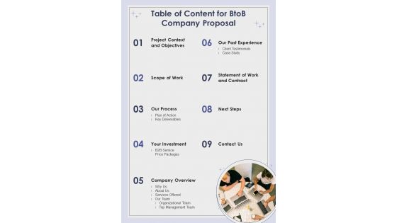 Table Of Content For Btob Company Proposal One Pager Sample Example Document
