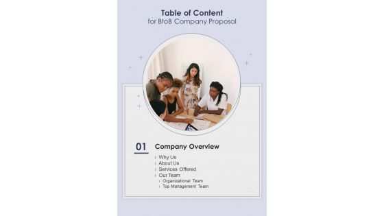 Table Of Content For Btob Companys Proposal One Pager Sample Example Document