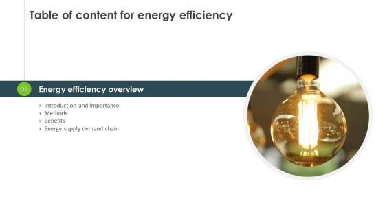 Table Of Content For Energy Efficiency Ppt Slides Show