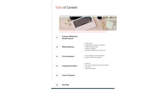Table Of Content Marketing Recap One Pager Sample Example Document