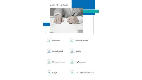 Table Of Content Proposal Offer Request One Pager Sample Example Document