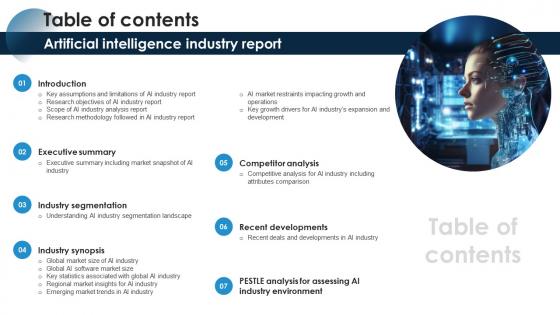 Table Of Contents Artificial Intelligence Industry Report IR SS