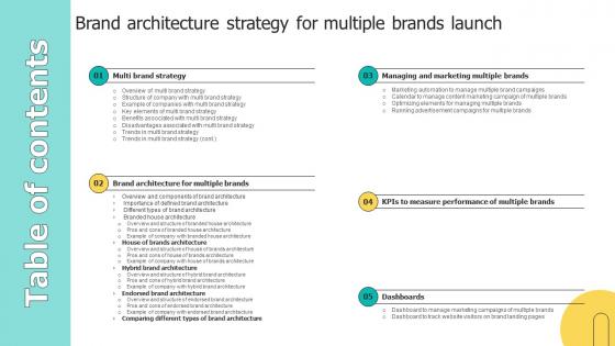 Table Of Contents Brand Architecture Strategy For Multiple Brands Launch Ppt Tips