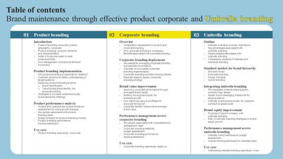 Table Of Contents Brand Maintenance Through Effective Product Corporate And Umbrella Branding SS