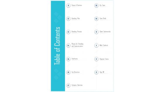 Table Of Contents Branding Proposal Template One Pager Sample Example Document