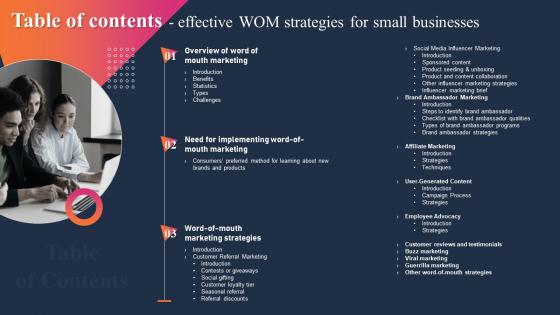 Table Of Contents Effective WOM Strategies For Small Businesses MKT SS V
