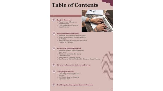 Table Of Contents Enterprise Buyout Proposal One Pager Sample Example Document
