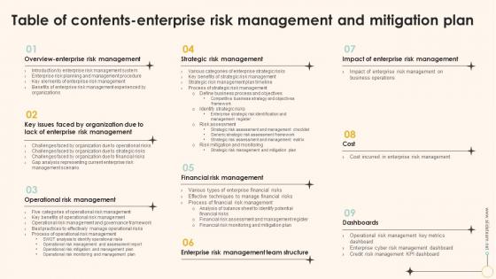 Table Of Contents Enterprise Risk Management And Mitigation Plan