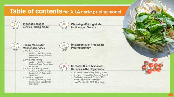 Table Of Contents For A La Carte Pricing Model Ppt Professional Diagrams