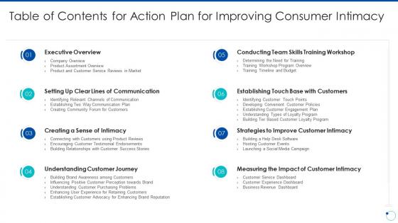 Table of contents for action plan for improving consumer intimacy
