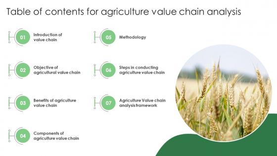 Table Of Contents For Agriculture Value Chain Analysis