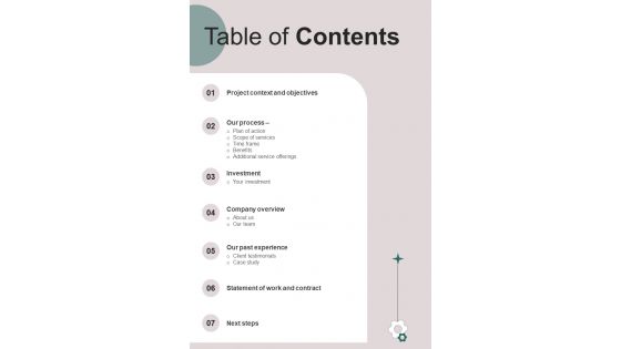 Table Of Contents For BI Suite Implementation One Pager Sample Example Document
