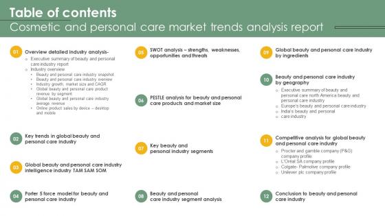 Table Of Contents For Cosmetic And Personal Care Market Trends Analysis Report IR SS V