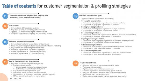 Table Of Contents For Customer Segmentation And Profiling Strategies MKT SS V