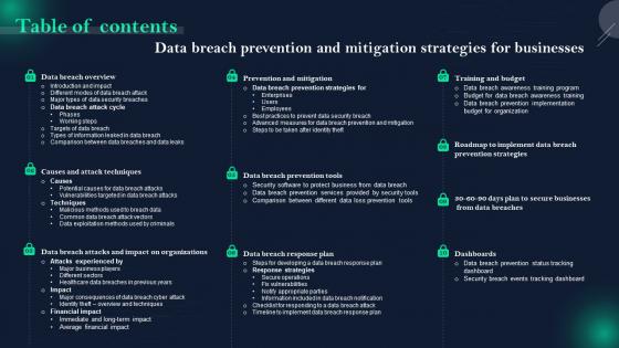 Table Of Contents For Data Breach Prevention And Mitigation Strategies For Businesses