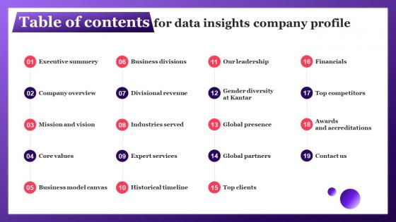 Table Of Contents For Data Insights Company Profile CP SS V