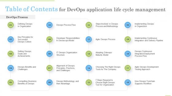 Table Of Contents For Devops Application Life Cycle Management