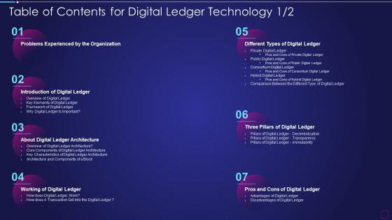 Table Of Contents For Digital Ledger Technology Problems Ppt File Shapes