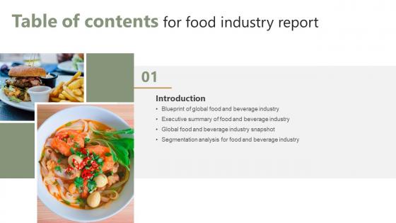 Table Of Contents For Food Industry Report IR SS V