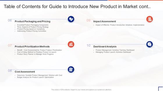 Table Of Contents For Guide To Introduce New Product In Market Cont
