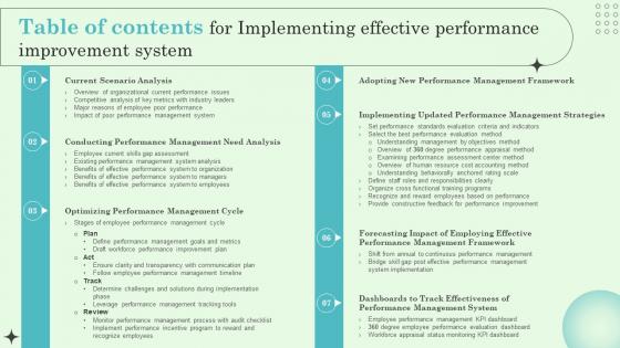 Table Of Contents For Implementing Effective Performance Improvement System