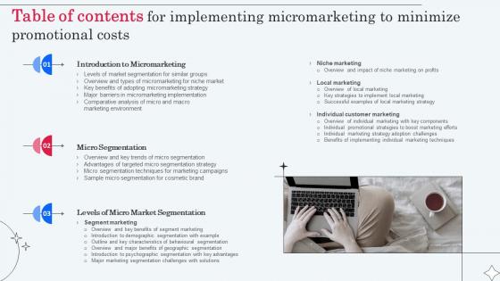 Table Of Contents For Implementing Micromarketing To Minimize Promotional Costs MKT SS V