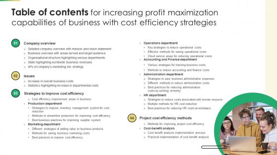 Table Of Contents For Increasing Profit Maximization Capabilities Of Business With Cost Efficiency Strategies