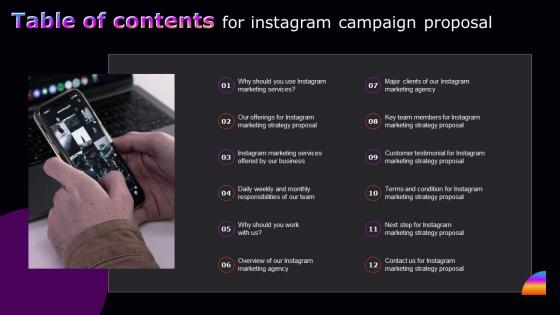 Table Of Contents For Instagram Campaign Proposal