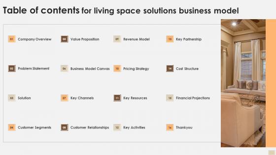 Table Of Contents For Living Space Solutions Business Model