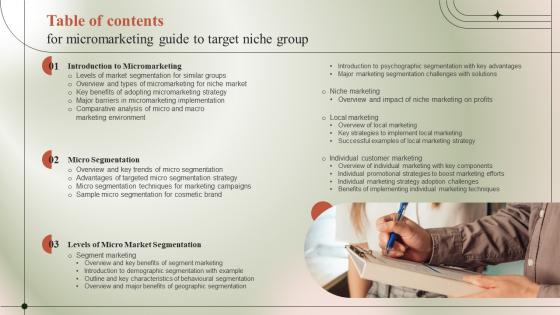 Table Of Contents For Micromarketing Guide To Target Niche Group MKT SS