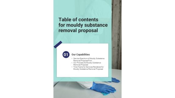 Table Of Contents For Mouldy Substance Removal Proposal One Pager Sample Example Document